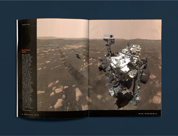 rover spread
